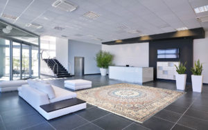 Tappeto classico beige e azzurro con medaglione in un ampio ambiente moderno