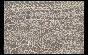 Dettaglio di tappeto moderno beige e nero con motivo animalier
