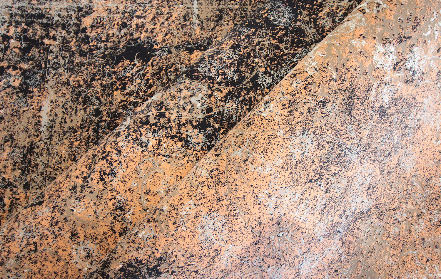 Rosella 240x170cm - 300x200cm - immagine 4