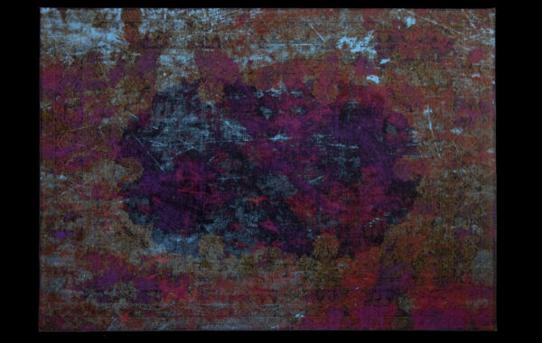 Amazonia 240x170cm - 300x200cm